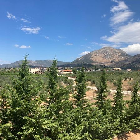 Enchanting Mycenae - Your Greek Holiday Retreat Argos Exteriér fotografie