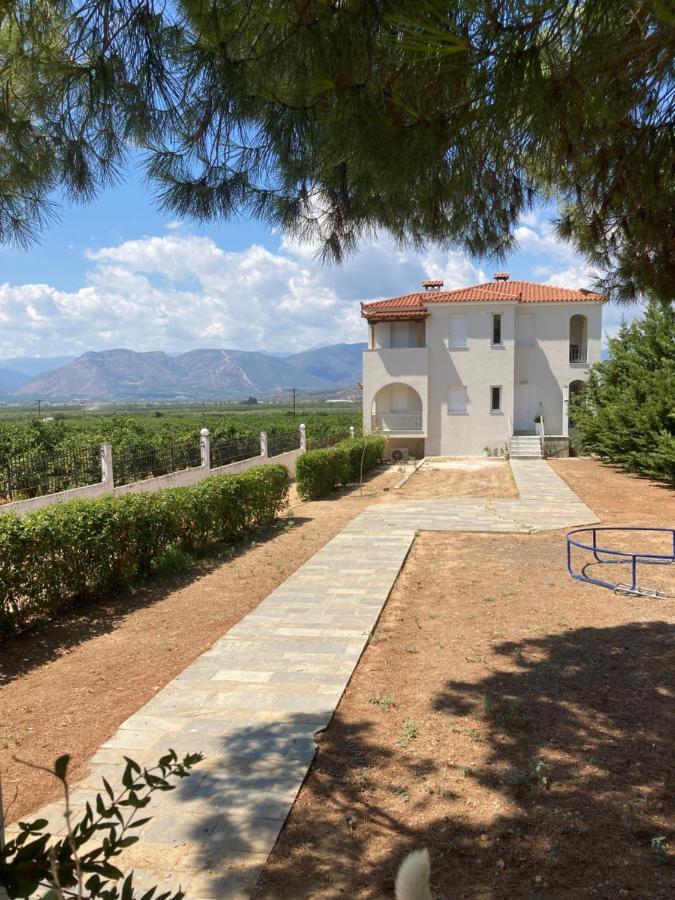 Enchanting Mycenae - Your Greek Holiday Retreat Argos Exteriér fotografie