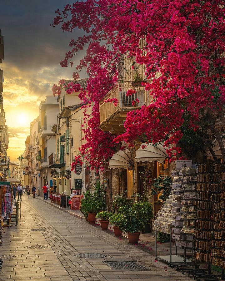 Enchanting Mycenae - Your Greek Holiday Retreat Argos Exteriér fotografie