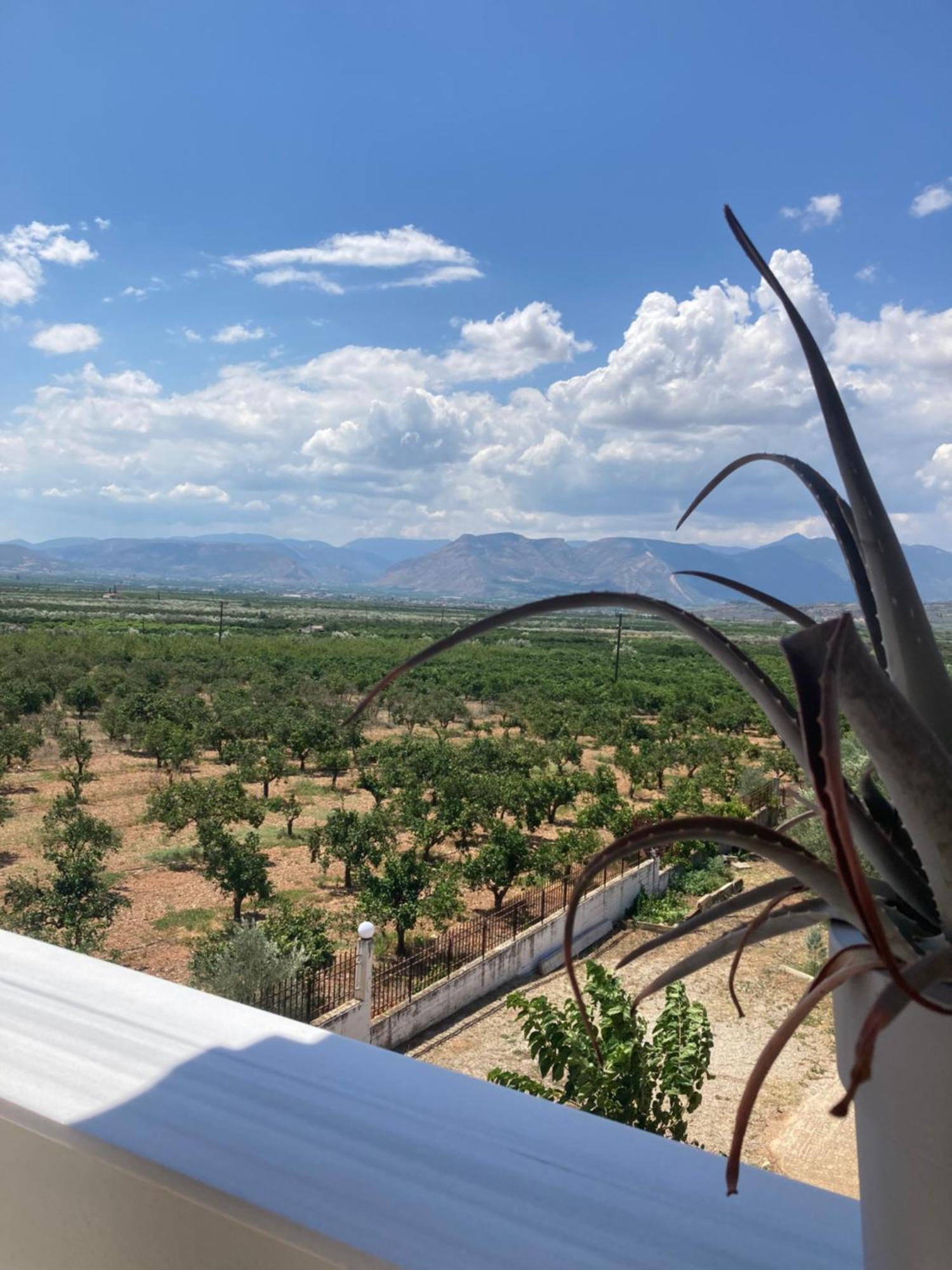 Enchanting Mycenae - Your Greek Holiday Retreat Argos Exteriér fotografie