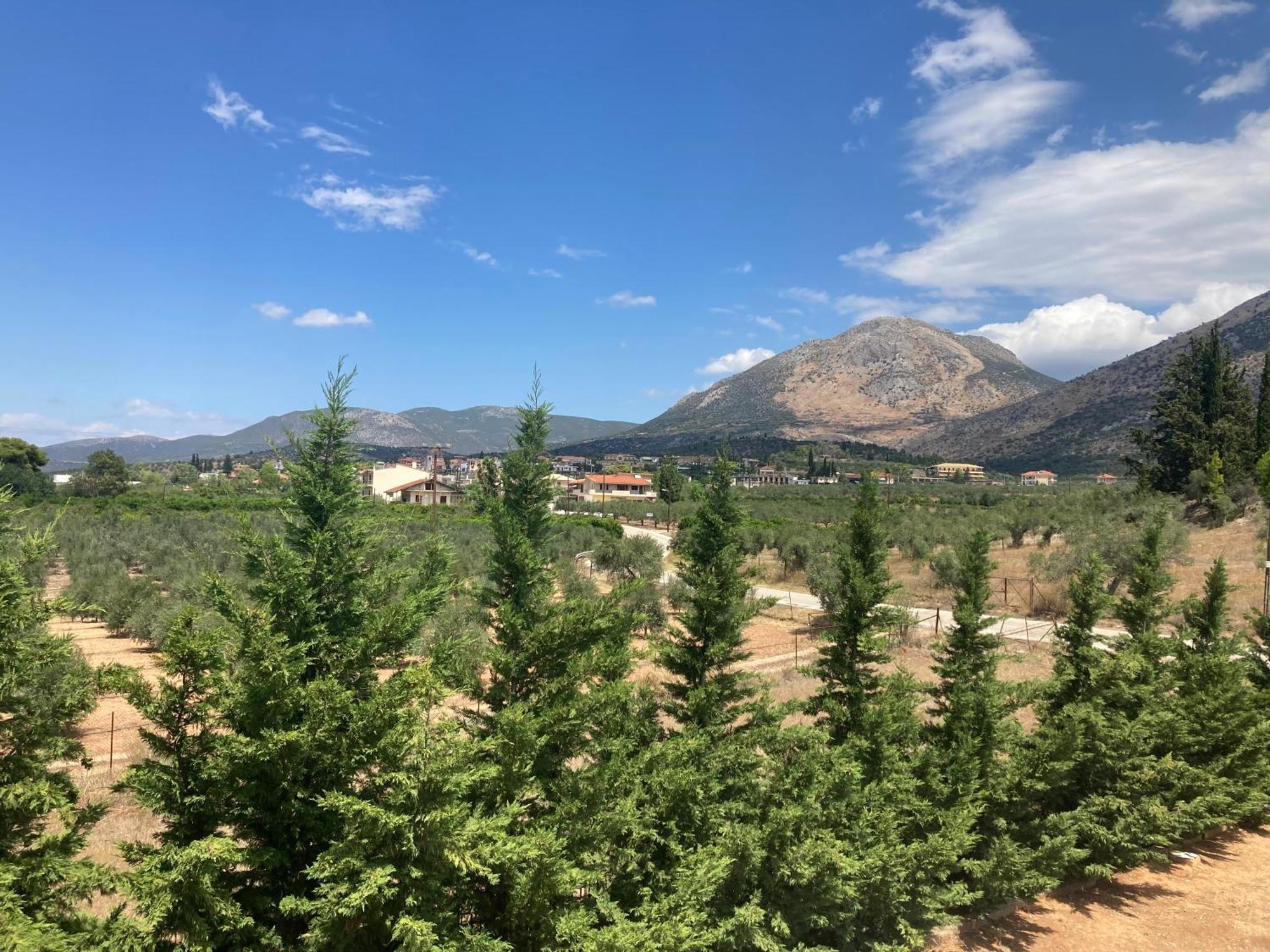 Enchanting Mycenae - Your Greek Holiday Retreat Argos Exteriér fotografie